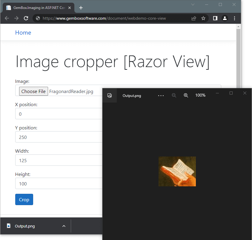Cropping image file in ASP.NET Core MVC application