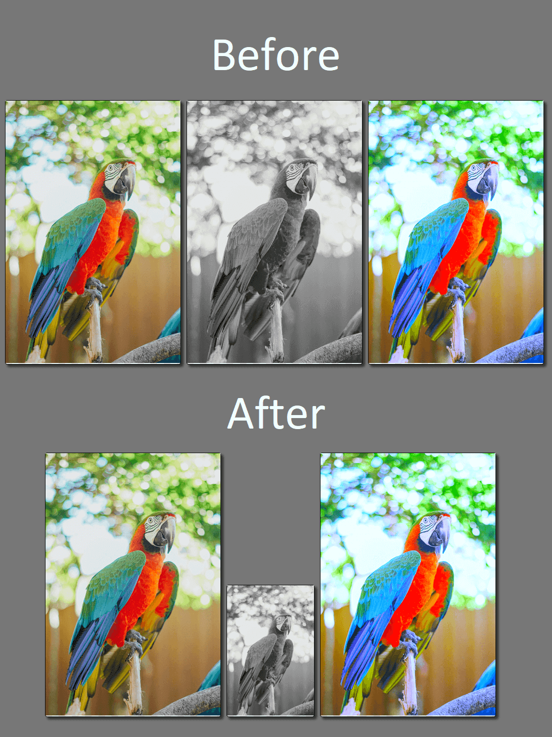 Resizing an image file Image frames before and after resizing a single frame using GemBox.Imaging
