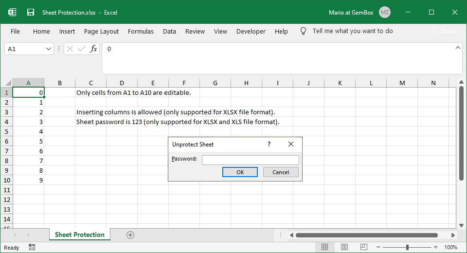 Screenshot of Excel worksheet protection Excel worksheet protection with locked and unlocked cells