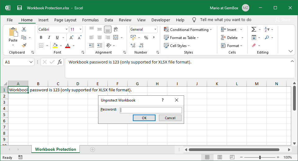 Screenshot of Excel workbook protection Excel workbook protection